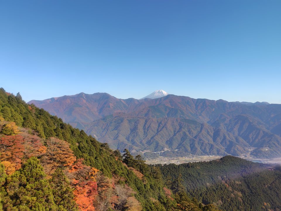 紅葉と富士山